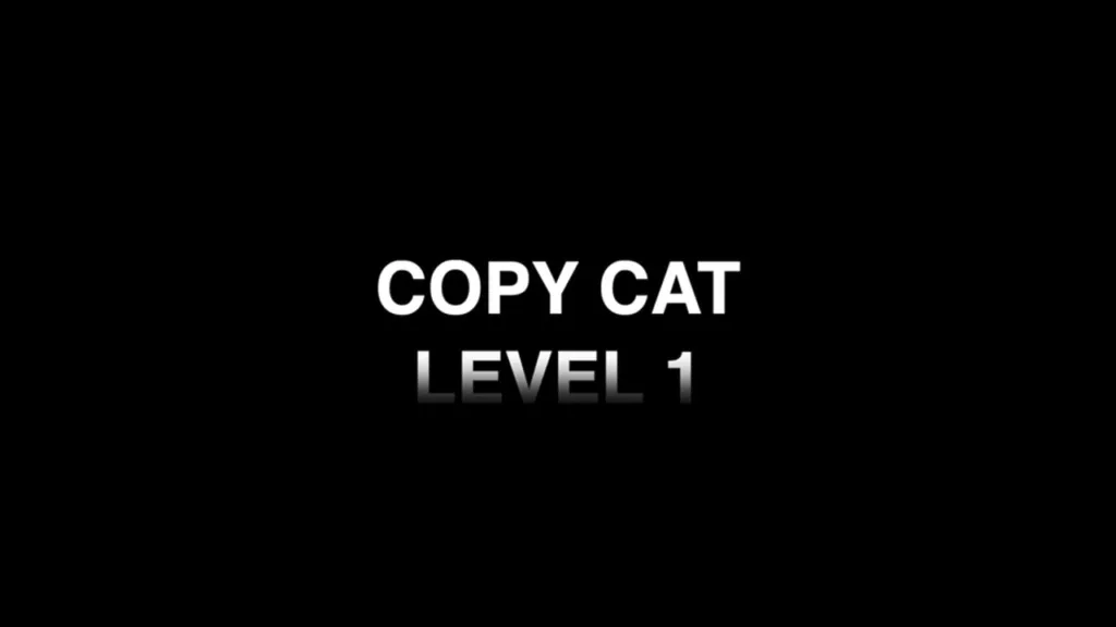 Copy Cat LEVEL 1