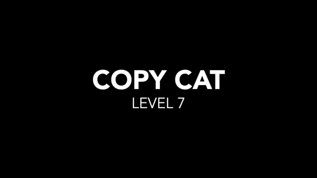 Copy Cat LEVEL 7