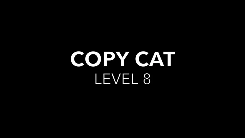 Copy Cat LEVEL 8
