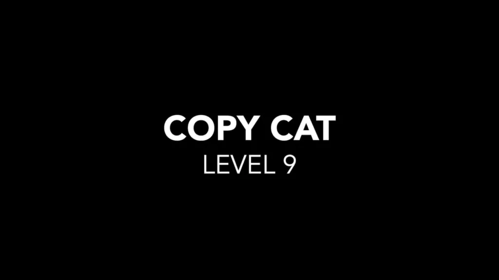 Copy Cat LEVEL 9