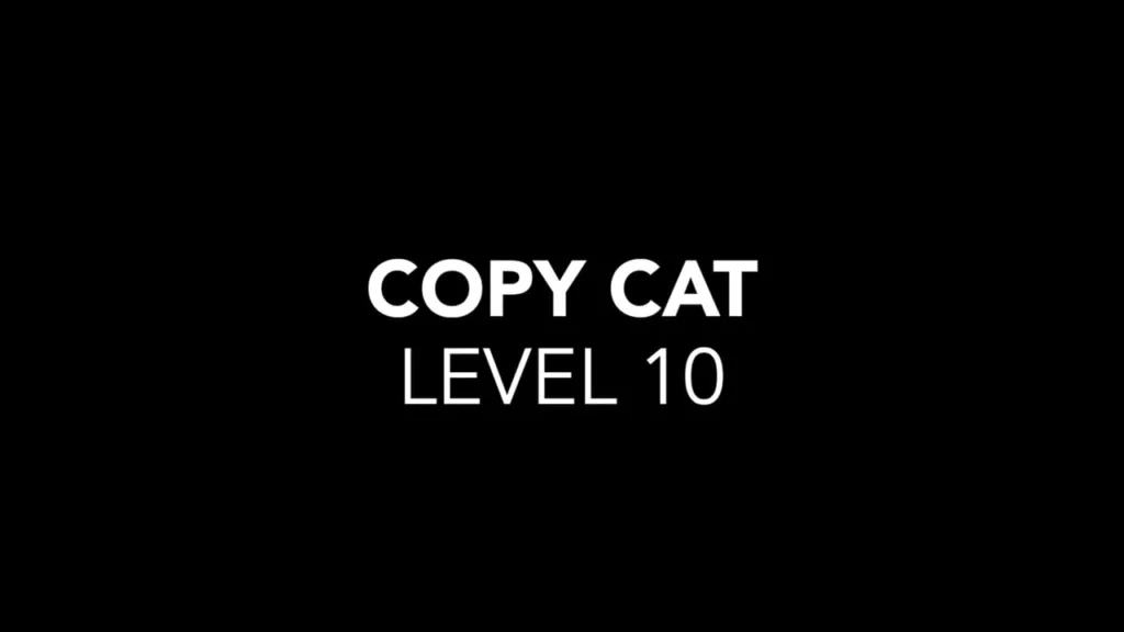 Copy Cat Level 10