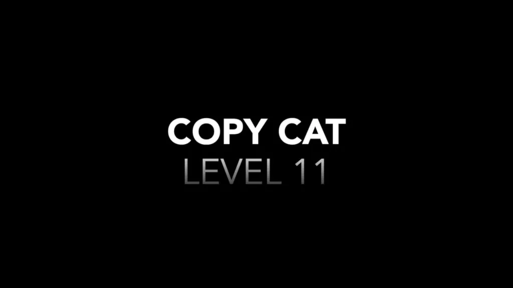 Copy Cat Level 11