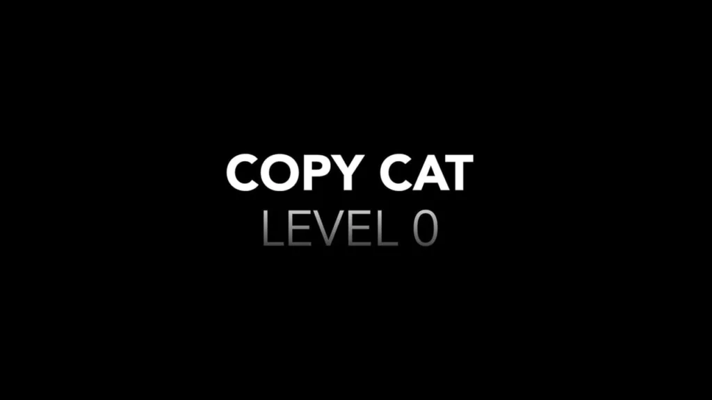 Copy Cat LEVEL 0