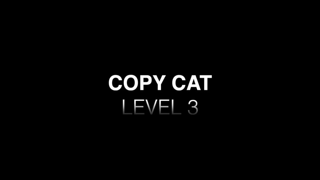 Copy Cat LEVEL 3